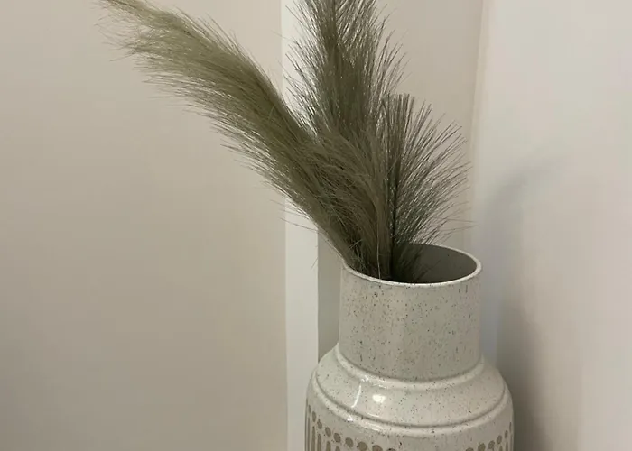 White Studio
